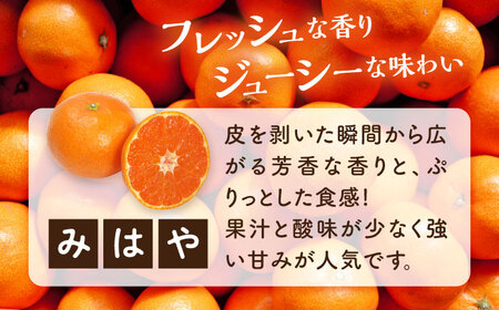 みかん みはや5kg みかん[XCE005]