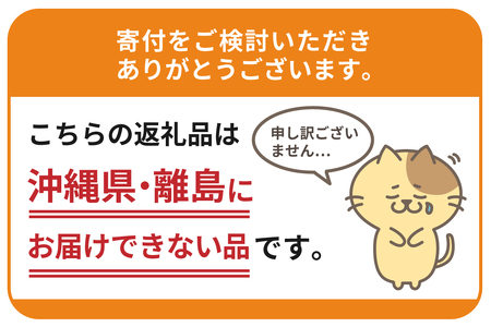 【12ヵ月定期便】サントリー　からだを想う オールフリー　500ml×24本 12ヶ月コース(計12箱) 《お申込み月の翌月中旬から下旬にかけて順次出荷開始》