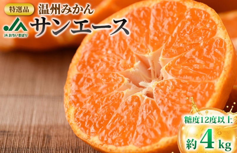 
            【先行予約】特選品温州みかんサンエース [KB02210]
          