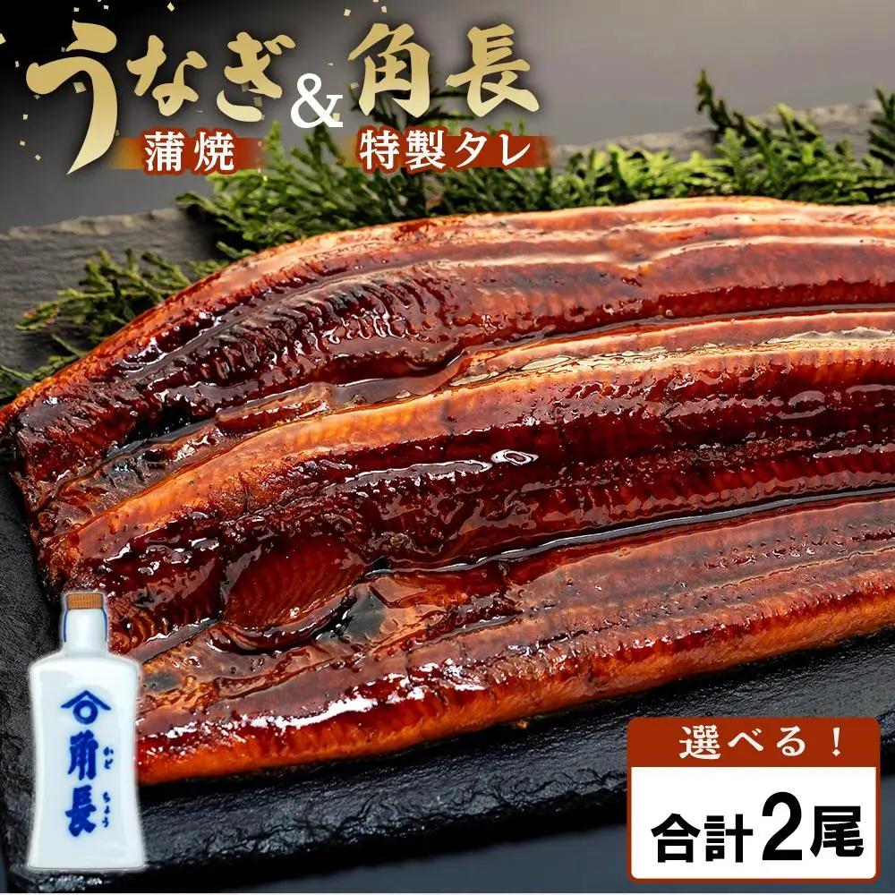 うなぎ 蒲焼 2尾 ＆ タレ1本｜うなぎ 