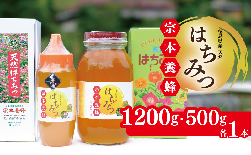 
            はちみつ 国産 セット 1200g 500g 各1本 天然 蜂蜜 純粋 蜂蜜ギフト 健康食品 美容 食品 無添加 栄養豊富 生はちみつ ハチミツ ギフト 贈答 人気 はちみつ お取り寄せ グルメ ヨーグルト パン スイーツ 徳島県 吉野川市
          