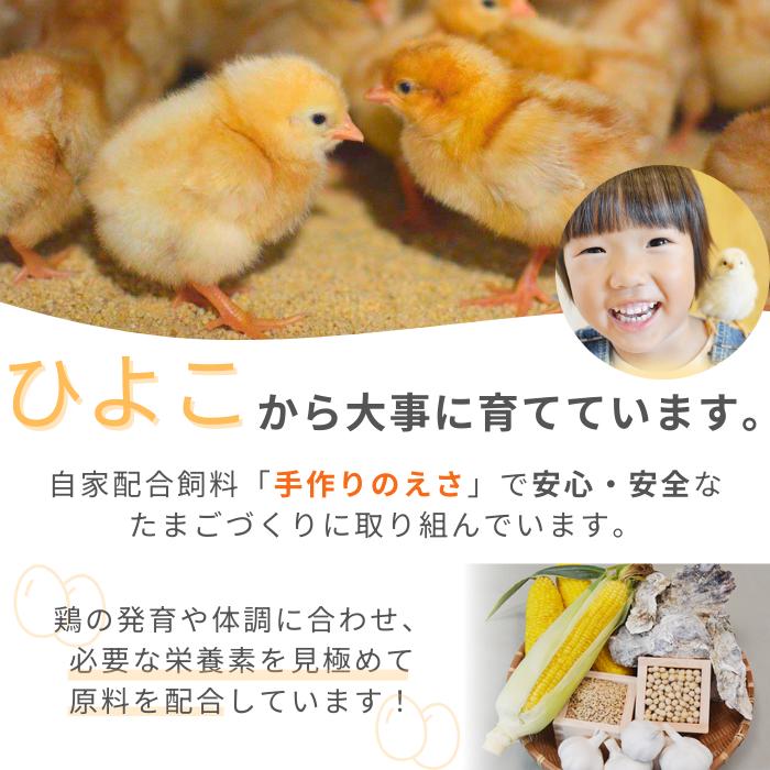 【定期便6回】九十九里ファームこだわりたまご贈答用30個～あおい海・みどりの里～