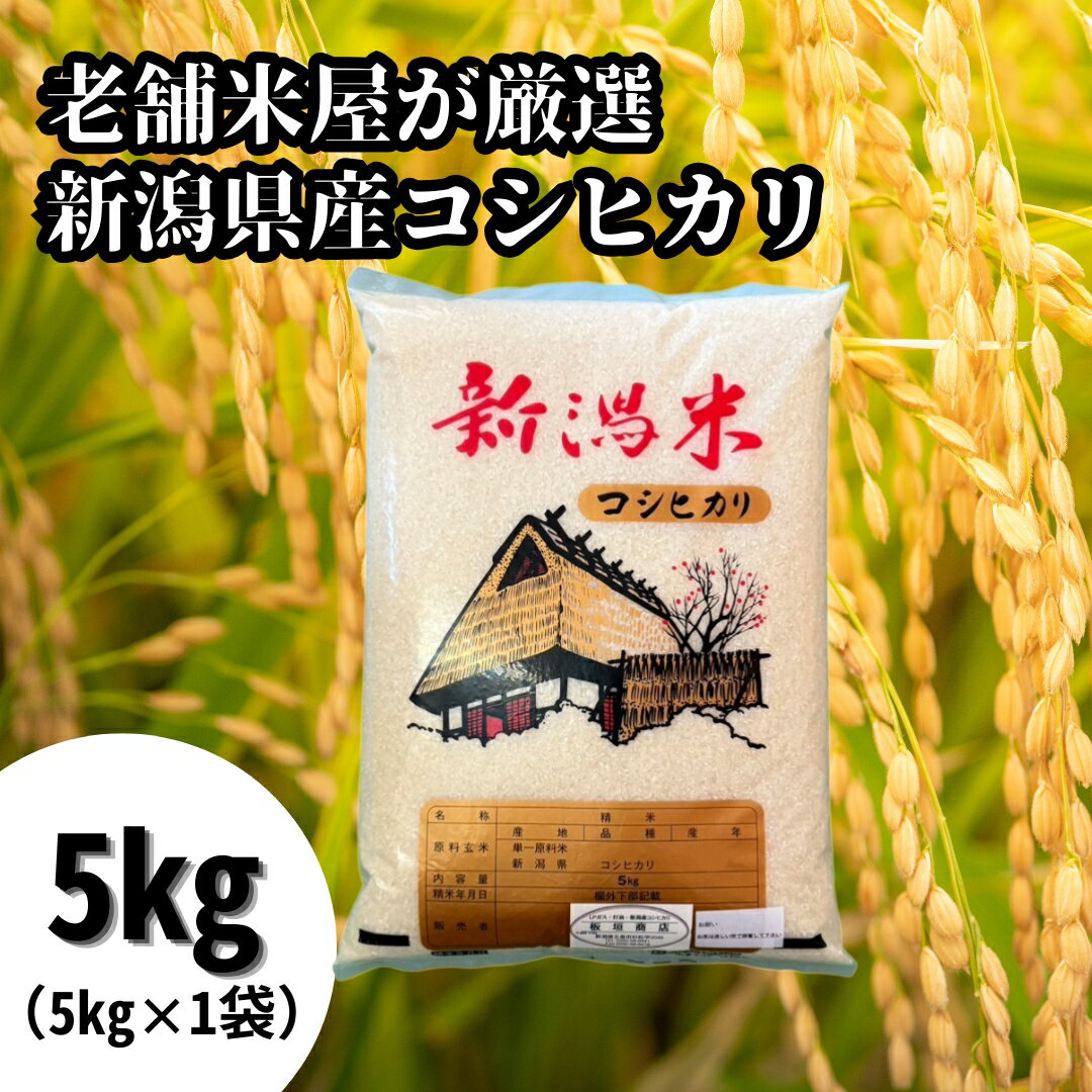 【ふるさと納税】 令和7年産 老舗米屋が厳選 コシヒカリ 精米 5kg(5kg×1袋) 新潟県 五泉市 板垣商店