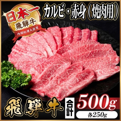 飛騨牛 カルビ・赤身(焼肉・BBQセット)500g 小分け 黒毛和牛 A4〜A5等級【配送不可地域：離島】【1543761】