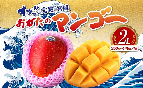 【期間・数量限定】おがたのマンゴー　完熟宮崎マンゴー　2Lサイズ(350～449g)×1個