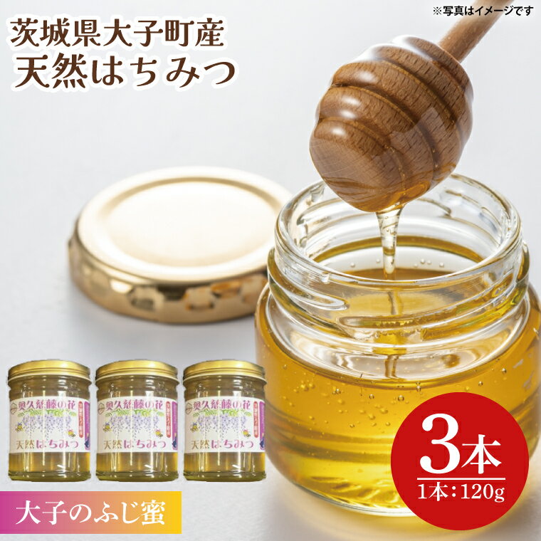 【ふるさと納税】【2026年10月～2027年4月発送】天然はちみつ【大子のふじ蜜 120g×3本セット】|茨城県 大子町 奥久慈 ハチミツ 蜂蜜 プレゼント 包装（BG002）