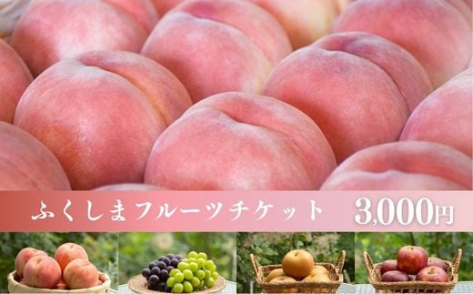 
No.2475くだものを現地で入手！！「ふくしまフルーツチケット」
