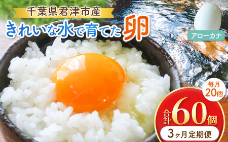 【3回定期便】きれいな水で育てた卵 アローカナ 20個  