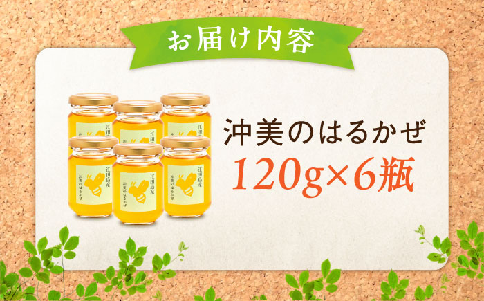 【全12回定期便】まじりっけなし！江田島産100％!はちみつ『沖美のはるかぜ』120g×6本セット ハチミツ ハニー 蜂蜜 国産 広島県 江田島市/はつはな果蜂園 [XCD017]