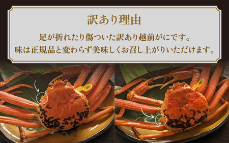 【訳あり】≪浜茹で≫越前がに 1杯（生で1杯850g前後）大人約2人前 食べ応え充分【3月発送分】【規格外 雄 ズワイガニ かに カニ 蟹 越前ガニ 姿 ボイル 冷蔵 福井県】希望日指定可 備考欄に希