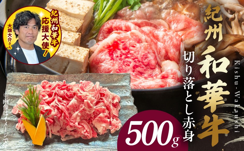 
                  BN6050_紀州和華牛　切り落とし【赤身】500g
                
