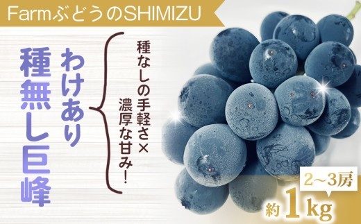 
            【先行受付2026年発送】わけあり種無し巨峰約1kg（2～3房）｜清水農園　※2026年9月中旬以降発送予定※月曜日、金曜日の発送はお休み
          