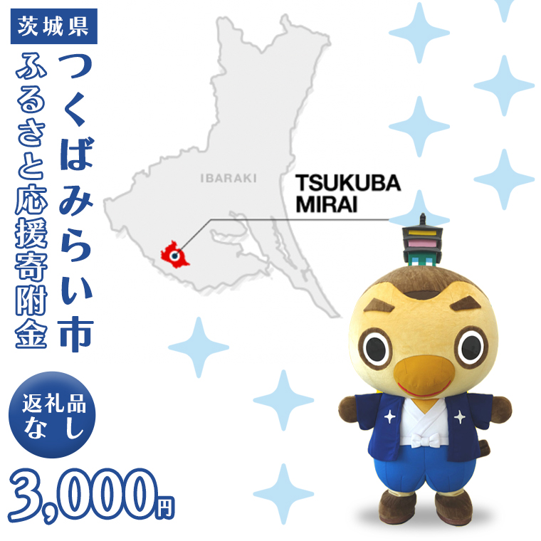 【 返礼品なし 】 茨城県 つくばみらい市 ふるさと応援寄附金 （ 3、000円 )  [BH16-NT ]