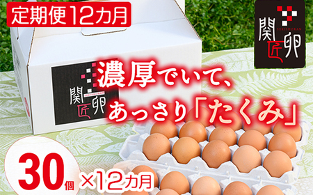 【定期便12か月】関匠卵 たくみ 30個×12か月｜卵 30個 赤玉 玉子 たまご 生卵 鶏卵 産みたて 新鮮 濃厚 健康 TKG たまごかけごはん ご飯のお供 国産 ギフト 贈答 贈り物 お中元 お歳暮 プレゼント 茨城県 古河市 農家直送 ※北海道・沖縄・離島への配送不可 _CP10