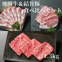 【ふるさと納税】飛騨牛 結旨豚 食べ比べ セット 計1.3kg とんかつ ローススライス 赤身 ステーキ 冷凍真空パック | 肉 お肉 すき焼き 鍋 しゃぶしゃぶ 黒毛和牛 和牛 人気 おすすめ 牛肉 豚肉 ギフト お取り寄せ 25000円【MS021】