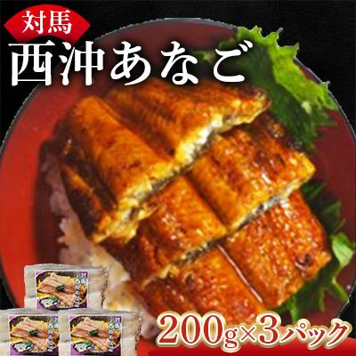 ふるさと納税 対馬市 対馬 西沖あなご　3パック(1パック200g)