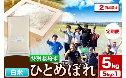 《定期便2ヶ月》令和7年産【白米】特別栽培米 ひとめぼれ 5kg 秋田県産 [ひとめぼれ 米 お米 白米 精米 特別栽培米 ブランド米 食卓 秋田県産 秋田県 由利本荘市]