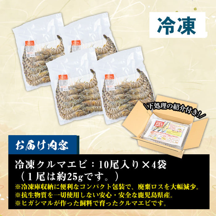 冷凍クルマエビ計1kg(25g×10尾×4袋) 国産 九州産 鹿児島産 魚介 魚 旬 鰤 ブリ ぶり ハマチ はまち 刺身 お刺身 海鮮丼 漬け丼 ブリ大根 ぶりしゃぶ しゃぶしゃぶ 鍋 お鍋 カマ 