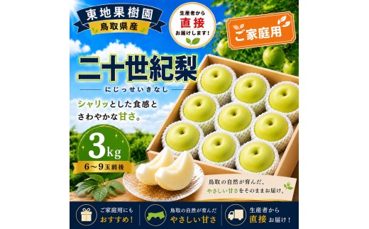 368M.二十世紀3kg〔ご家庭用〕◆東地果樹園◆