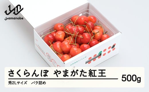 
            《先行予約》 さくらんぼ 紅王 秀2Lサイズ 500g バラ詰め 2026年産 令和8年産 山形県産 ns-ybs2b500
          