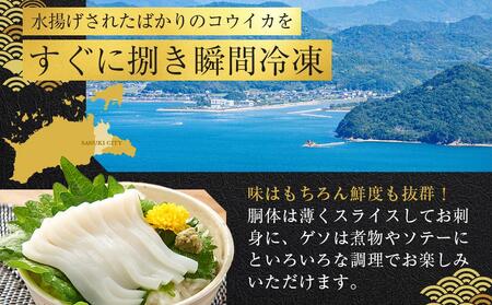 天然コウイカ 約500g イカ いか 