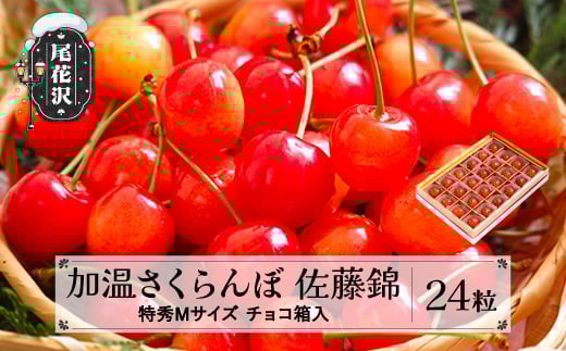 
            先行予約 加温 さくらんぼ 佐藤錦 特秀Mサイズ 24粒 120g 5月上旬~5月下旬頃発送 プレゼント ギフト チョコ箱入 2026年産 令和8年産 ハウス ハウス栽培 山形県産 ns-sntmc24
          