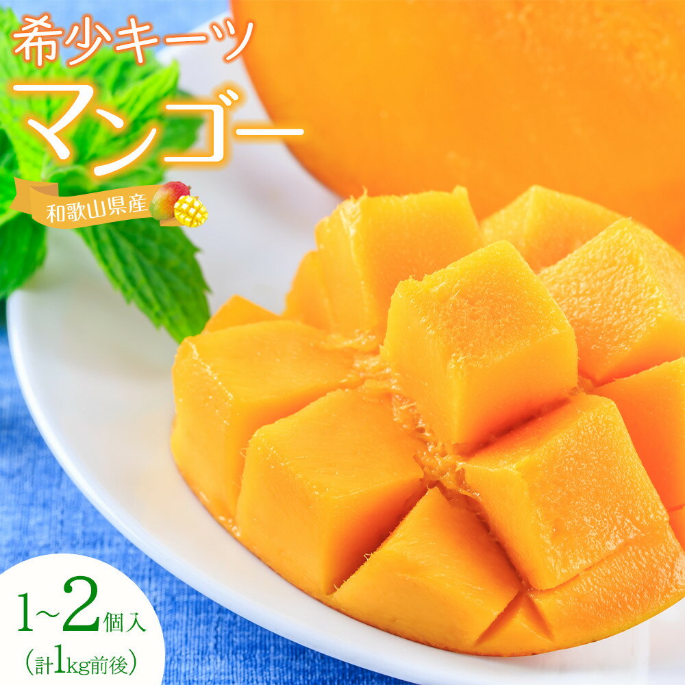 【ふるさと納税】超希少なマンゴー【キーツ】 約1kg 和歌山市（2025年9～10月発送分） | フルーツ 果物 くだもの 食品 人気 おすすめ 送料無料