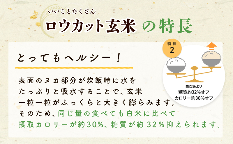 金芽ロウカット玄米 4kg【東洋ライス 2kg×2P お米 米 こめ 国産 小分け】 099H202