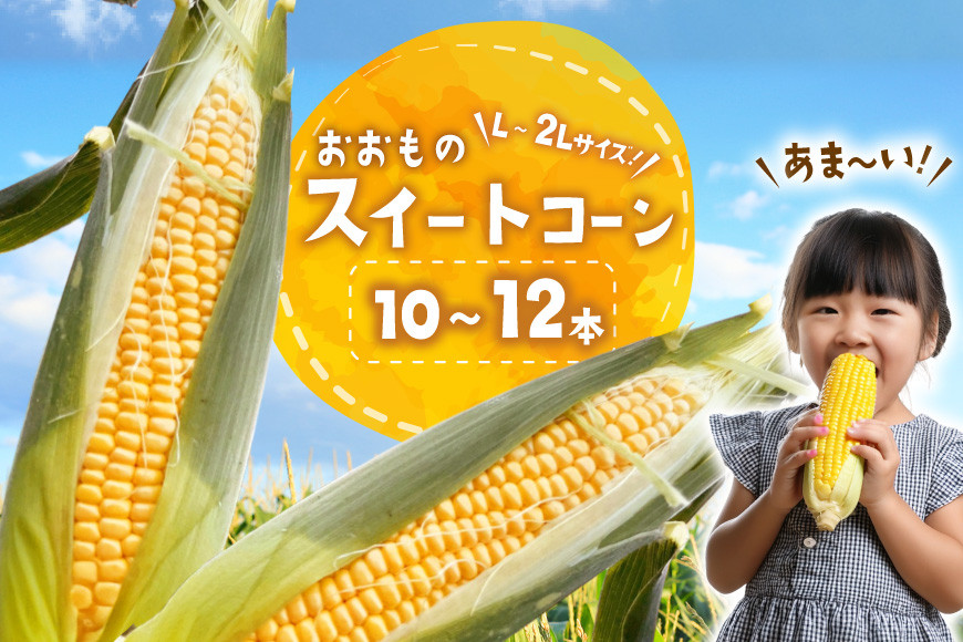 
            AI378 スイートコーン 10〜12本 L〜2Lサイズ おおもの [ とうもろこし コーン 野菜 やさい あまい 甘い おおもの 人作 長崎県 島原市 ]
          