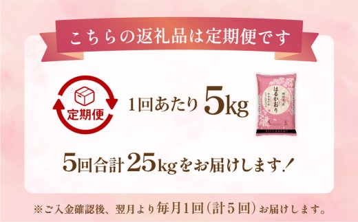 【1ヶ月毎5回定期便】 はるかおり 5kg 計25kg ／ 米 コメ お米 ライス ご飯 ごはん 飯 食品 精米 定期便 常温 福岡県 香春町