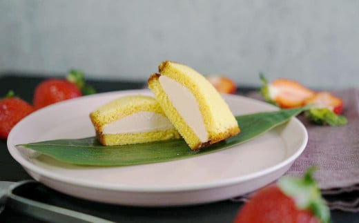 【全6回定期便】長崎カステラアイス (バニラ) 計10個 ／ お菓子 冷凍 バニラ アイス あいす カステラ スイーツ ニューヨーク堂 長崎県 長崎市