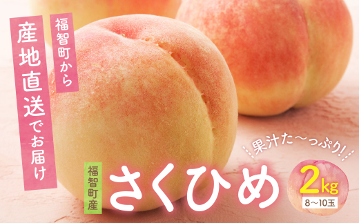2026年発送 ハウス桃 さくひめ 約2kg 桃 もも モモ 福岡県 福智町産 さくひめ 果実 果物 くだもの フルーツ 産地直送 先行予約 送料無料 《 予約受付 》【2026年5月末～2026年6月末発送予定】