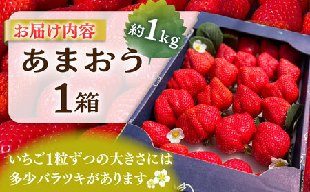 【先行予約】津田くん農園のあまおう 1kg [VDG001] 苺 いちご あまおう