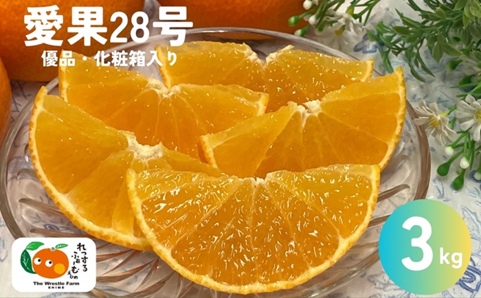 愛果28号 3kg 優品 レッスルファーム みかん 愛媛【2025年12月中旬以降順次発送】先行予約 数量限定 お取り寄せ おすすめ 美味しい おいしい グルメ フルーツ くだもの 愛媛県産 人気 柑