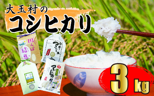 
【 令和5年産 】福島県 大玉村 産 コシヒカリ ３ｋｇ こしひかり 米 精米
