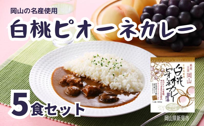 
            白桃ピオーネカレー レトルト 5食セット
          