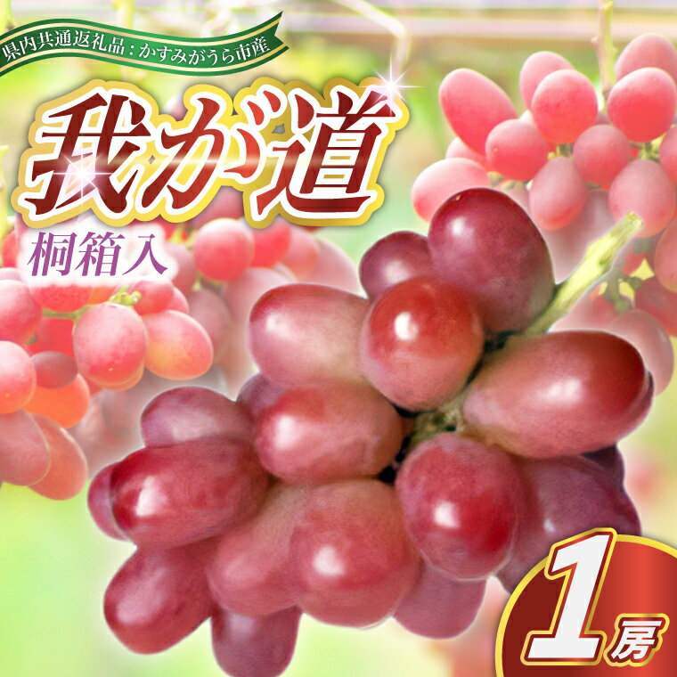 【ふるさと納税】【2025年9月より順次発送予定】我が道　桐箱入り1房(県内共通返礼品:かすみがうら市産)【配送不可地域：離島・沖縄県】 (BR099)
