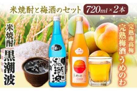 焼酎 焼酎黒潮波 完熟南高梅うめのわ 完熟梅酒 720ml 2本セット 酒のねごろっく《30日以内に出荷予定(土日祝除く)》焼酎焼酎