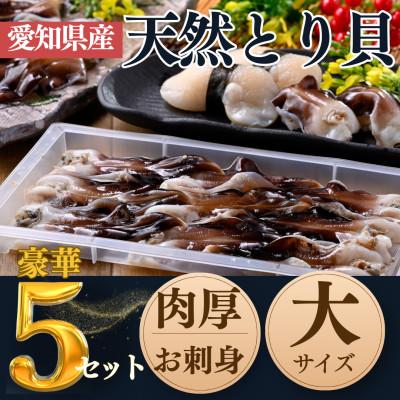 ふるさと納税 南知多町 純国産【貝専門店】 肉厚 トリ貝 刺身 【大9枚入り】 5セット 岬だより