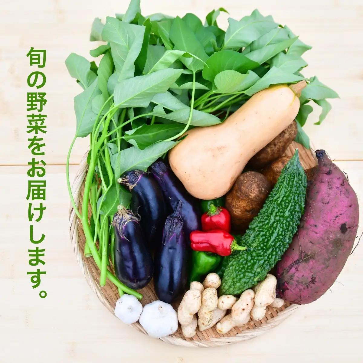 旬の野菜詰め合わせ 8種以上 | 野菜セット 詰め合わせ セット オーガニックファーム所沢農人