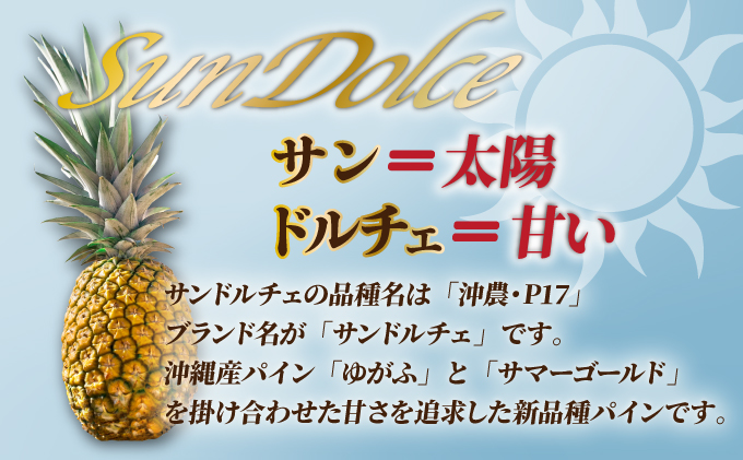 【先行予約】《2025年夏季 順次発送》サンドルチェ大玉2～3個 計2.4kg　SI-41