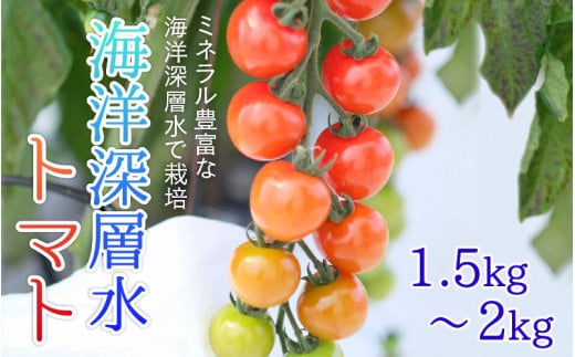 【期間限定】海洋深層水トマト