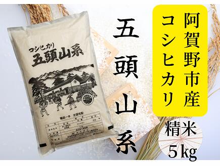 【ふるさと納税】【令和7年産新米】「米屋のこだわり阿賀野市産」コシヒカリ5kg 新潟県 阿賀野市 五頭山系 米 白米 精米 かたぎり 9月中旬より順次発送