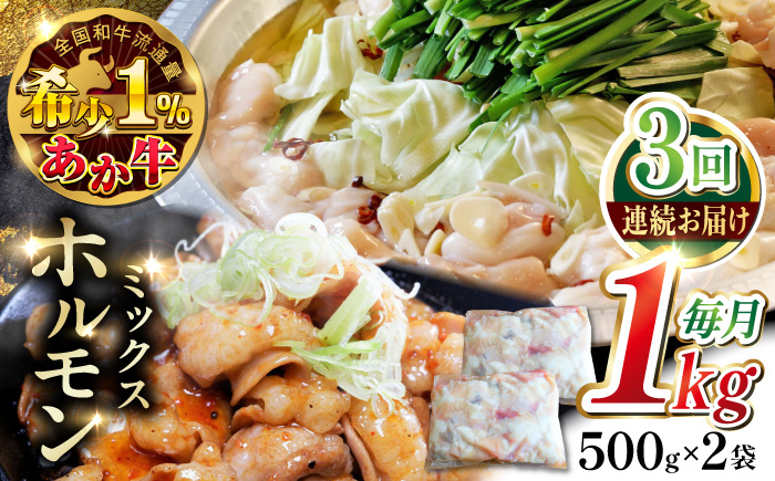 【全3回定期便】熊本和牛あか牛ホルモン 1kg 【有限会社 三協畜産】 [YCG173]
