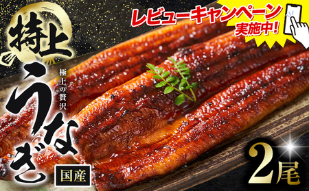 レビューキャンペーン実施中！ うなぎ 鰻 特上  2尾 1尾当たり180g以上 福岡県産 鰻の蒲焼き 数量限定 株式会社HOMIE 国産《45日以内に出荷予定(土日祝除く)》