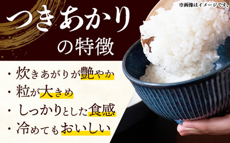 【先行受付】 令和7年産 つきあかり（無洗米）幸手産 - 5kg×1袋 ５kg 先行 予約 新米 新米予約 先行予約 2025年発送 福祉 応援 安心 安全 埼玉県 幸手市 幸手市産
