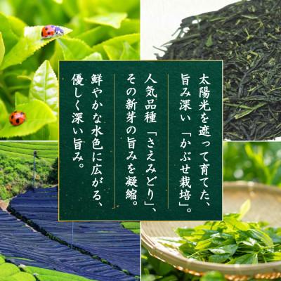 ふるさと納税 日向市 日本茶AWARD プラチナ賞受賞茶　深蒸し煎茶「深緑」80g×1本 |  | 01