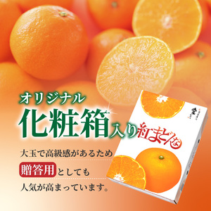 【11月下旬ごろから順次発送】紅まどんな（愛媛県産）【約3キロ(9～15玉入り)化粧箱入り】みかん ミカン まどんな べにまどんな ベニマドンナ えひめ 紅マドンナ 愛媛県産 フツール 果物 くだもの