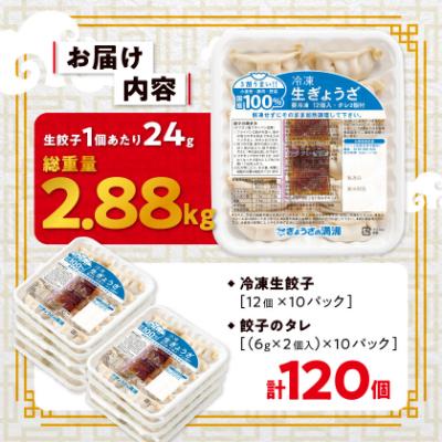 ふるさと納税 坂戸市 冷凍生餃子10パック(120個)　ぎょうざの満洲 |  | 03