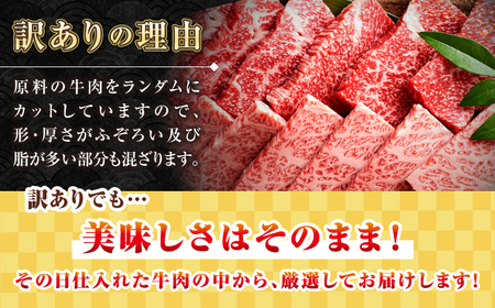 【全2回定期便】【訳あり】【A4〜A5ランク】長崎和牛 焼肉切り落とし 1kg（500g×2パック）(肩ロース・バラ）《壱岐市》【株式会社MEAT PLUS】 肉 牛肉 黒毛和牛 焼き肉 焼肉 焼肉用